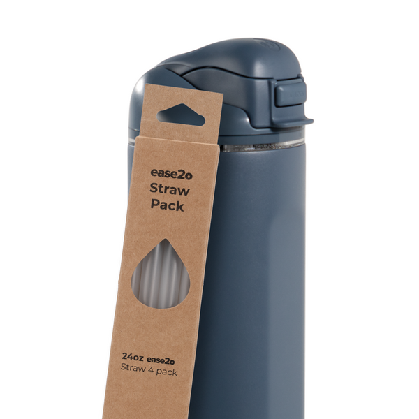 Ease2o Straws 4 Pack 24oz R3